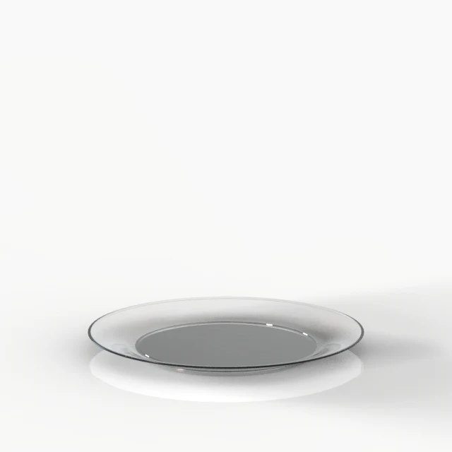 Pack de 6 Assiettes Plates Incassables En Polycarbonate Diamètre 220